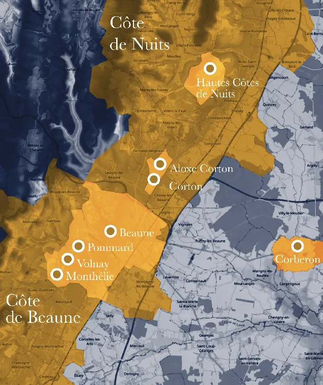 Domaine Maxime Dubuet-Boillot