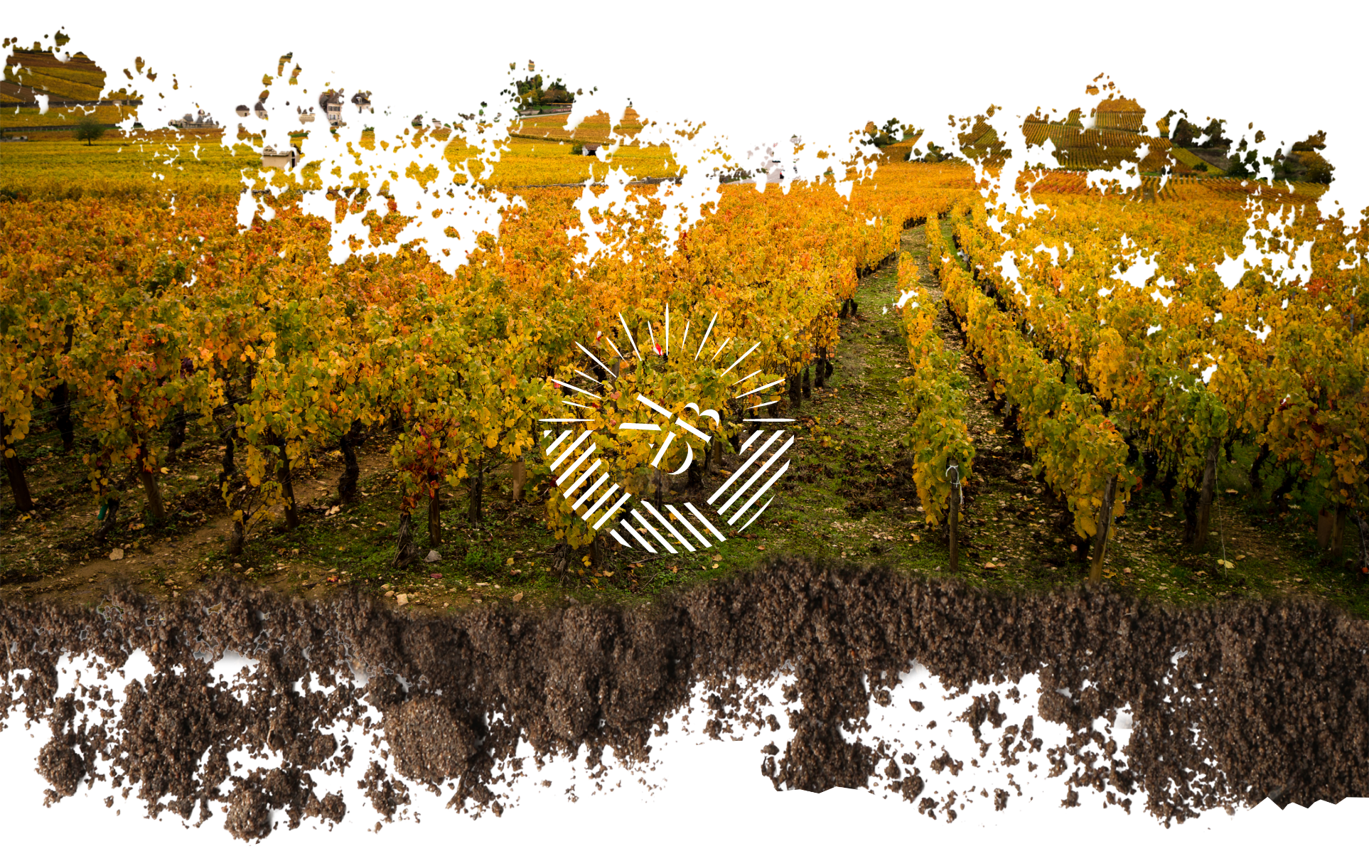 Domaine Maxime Dubuet-Boillot