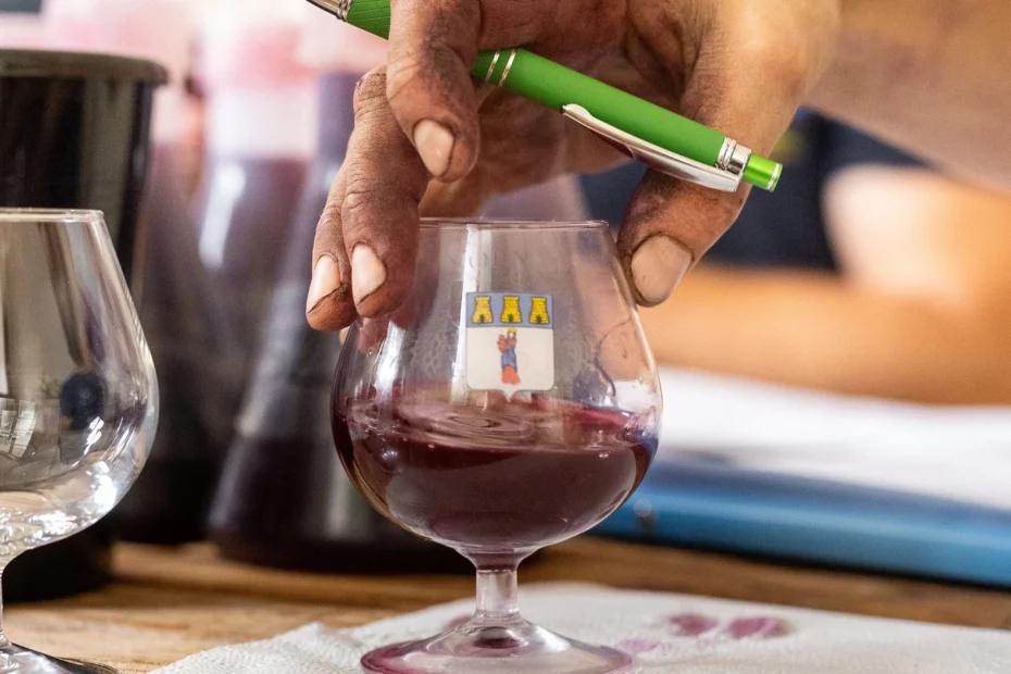 Domaine Maxime Dubuet-Boillot
