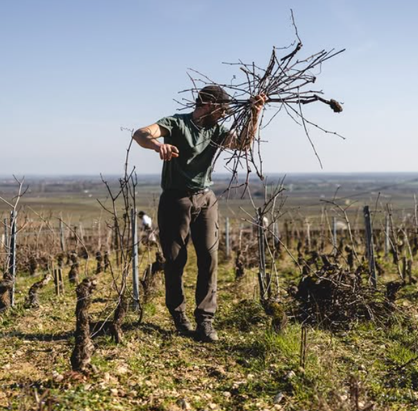 Domaine Dubuet-Boillot