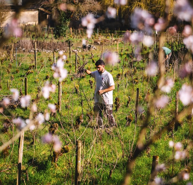 Domaine Dubuet-Boillot