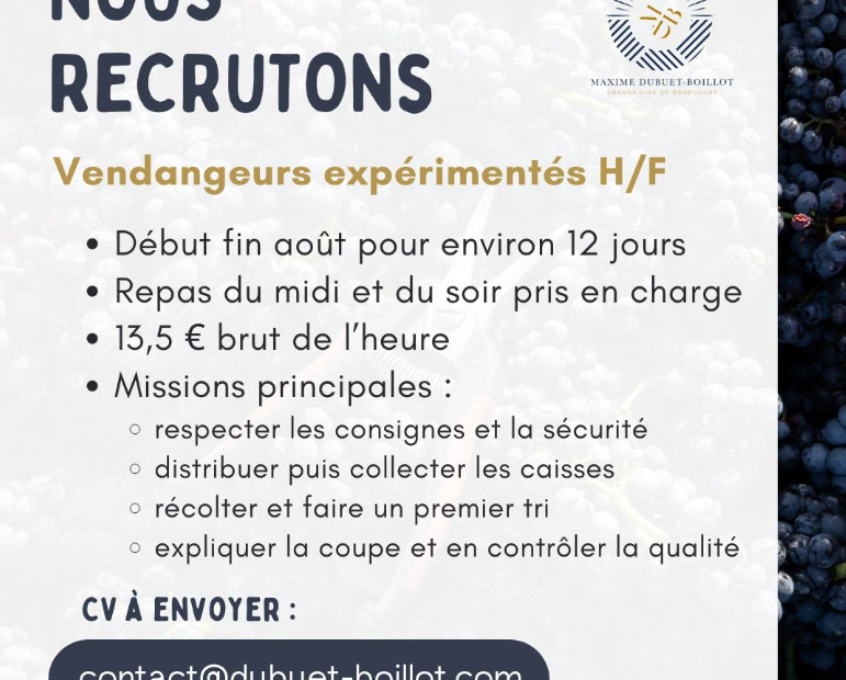 Recrutement Dubuet Boillot