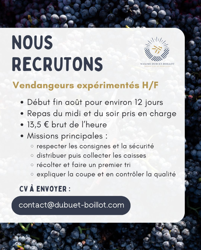 Recrutement Dubuet Boillot